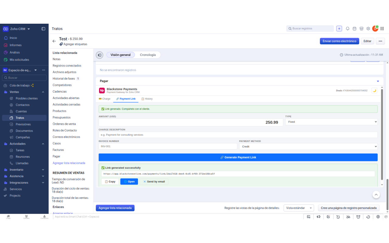 Payment link generated, ready to copy or send